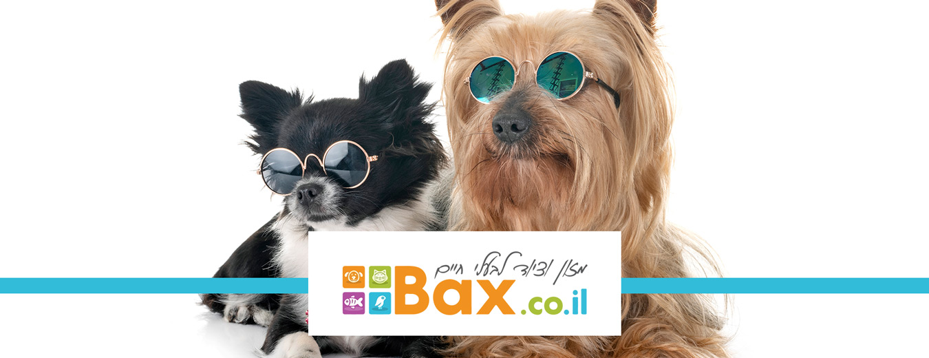 BAX חנות למזון וציוד לבעלי חיים