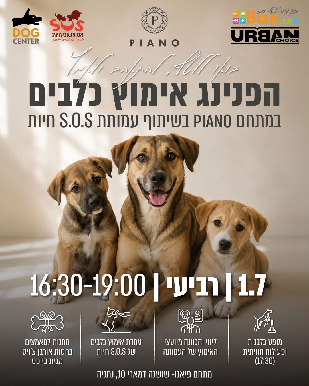 הפנינג אימוץ כלבים